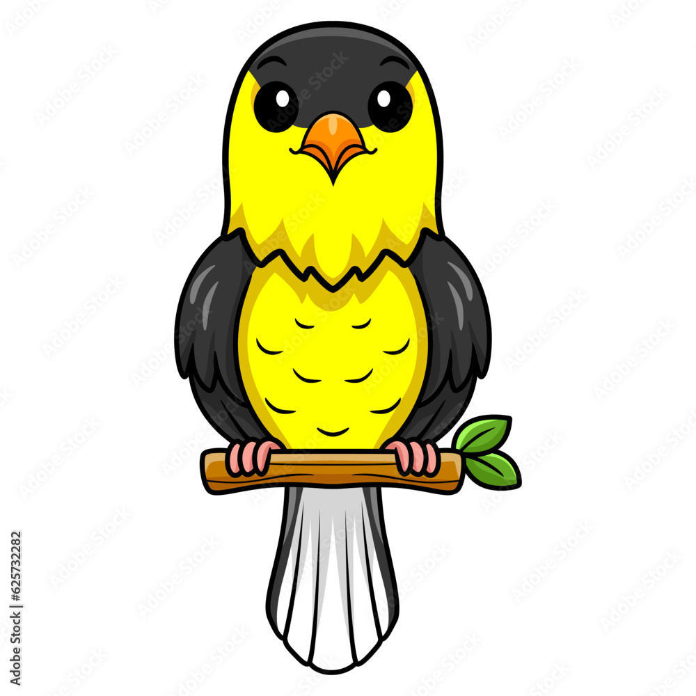 Cute common backyard bird cartoon on tree branch Cute common backyard bird cartoon on tree branch