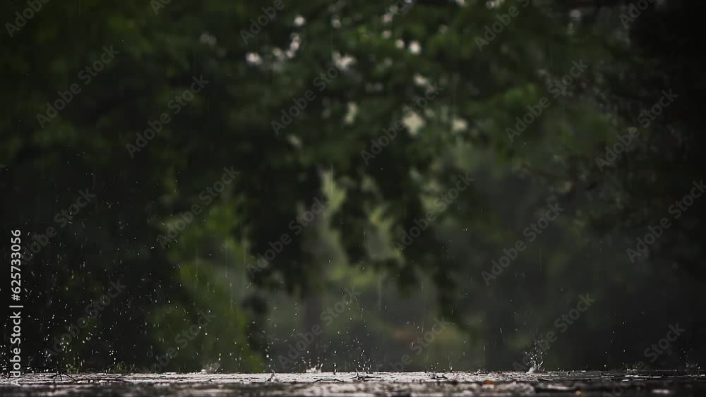 Strong showers pouring down a tree forest avenue in the rain during the summer monsoon season, transparent raindrops and water droplets bouncing on the ground, slow motion

