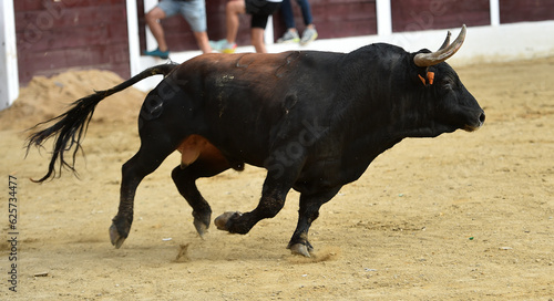un toro bravo español en una plaza de toros durante un espectaculo de toreo