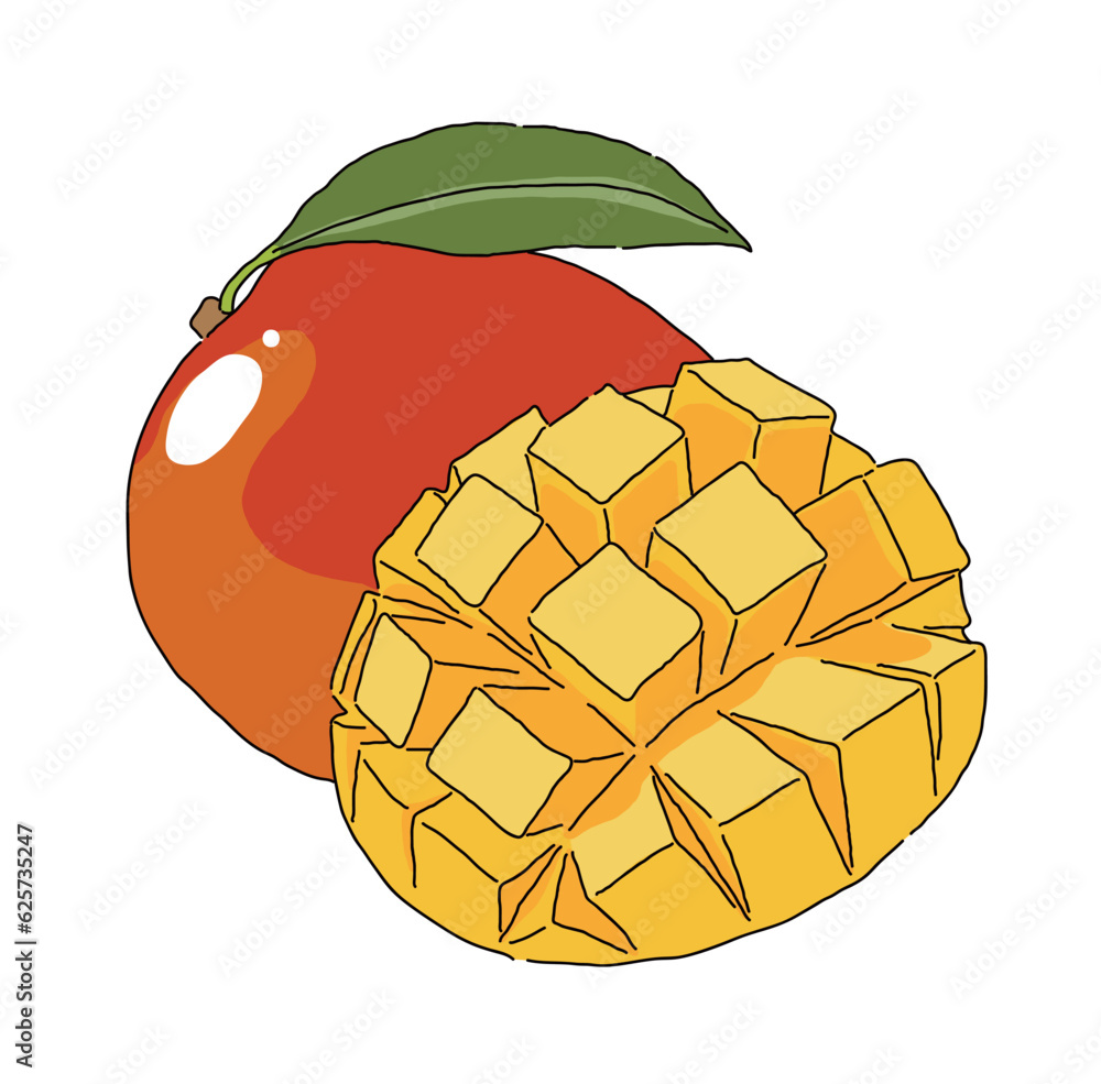 Hand drawn illustration of tropical fruit 'Apple Mango'. 'Apple Mango