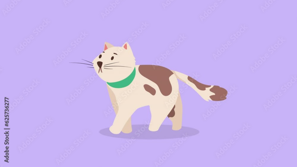 cute brown and white cat mascot character animation cute brown and white cat mascot character animation