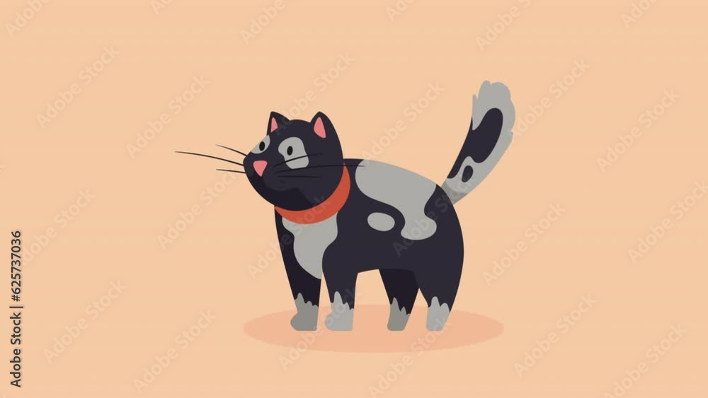 cute black cat mascot character animation cute black cat mascot character animation