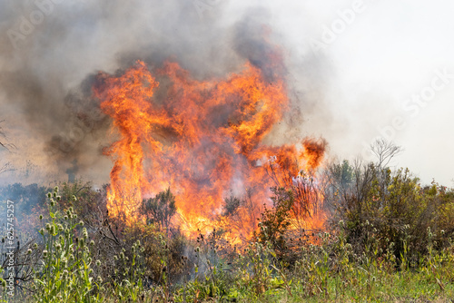 California Wildfire Burning Grass and Trees © kcapaldo