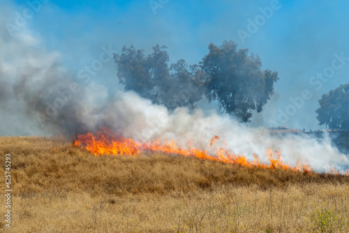 California Wildfire Burning Grass and Trees