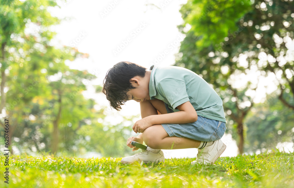 image of asian boy using magnifying glass in park image of asian boy using magnifying glass in park