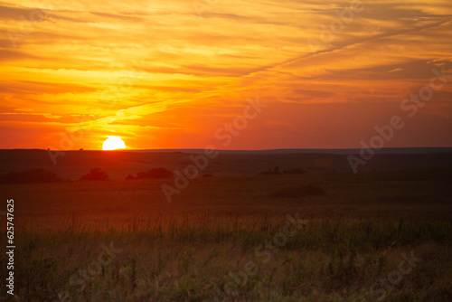 sunset over the field