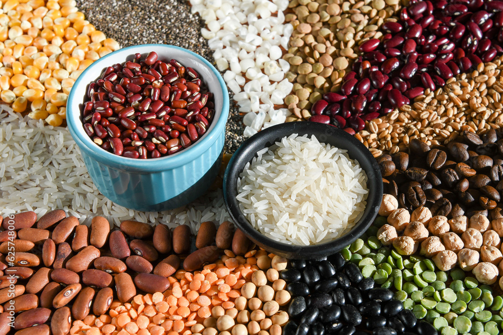 Bowl with raw white rices and beans on various seeds grain Bowl with raw white rices and beans on various seeds grain