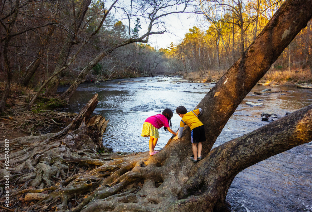 Two children play on an old tree trunk hanging out over the Eno River in Durham, North Carolina Two children play on an old tree trunk hanging out over the Eno River in Durham, North Carolina