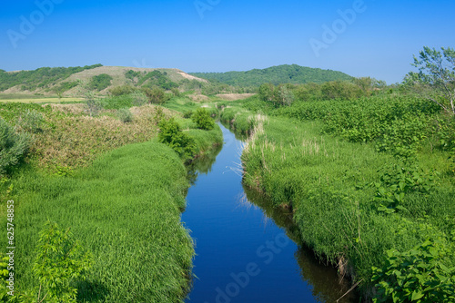 サロベツ原野の小川