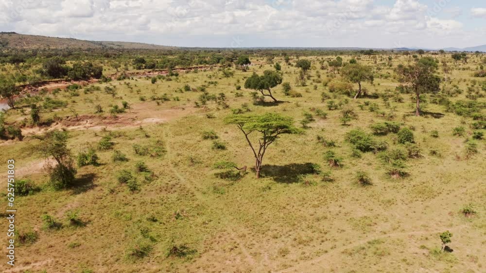 Aerial drone shot of Masai Mara River Landscape Winding in Beautiful Scenery in Maasai Mara National Reserve in Kenya, Africa, Wide Establishing Shot with Greenery and Lush Green Trees Aerial drone shot of Masai Mara River Landscape Winding in Beautiful Scenery in Maasai Mara National Reserve in Kenya, Africa, Wide Establishing Shot with Greenery and Lush Green Trees