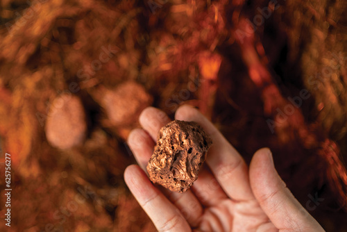 Fotomurale Man's hand holding a piece of copper to examine it for industrial use