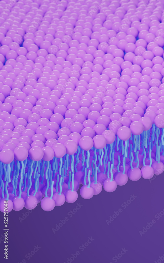 Fototapeta premium Cell membrane structure background, 3d rendering.
