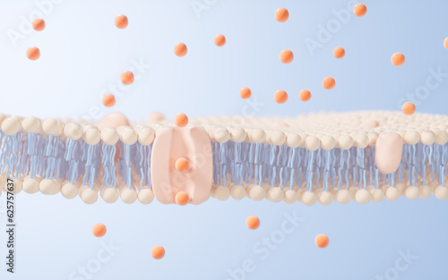 Cell membrane structure background, 3d rendering. photo