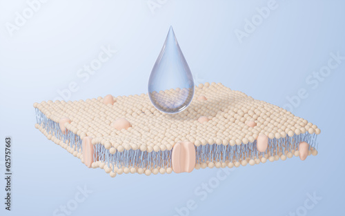 Cell membrane structure background, 3d rendering.