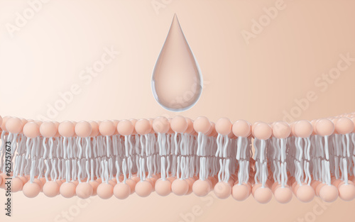 Fototapeta Naklejka Na Ścianę i Meble -  Cell membrane structure background, 3d rendering.
