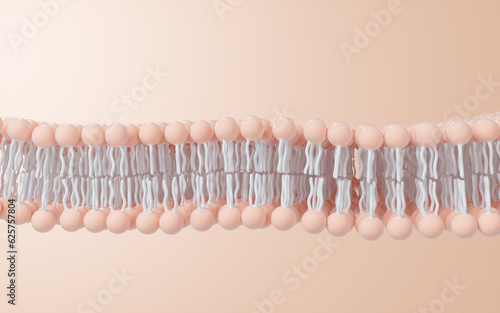 Cell membrane structure background, 3d rendering.