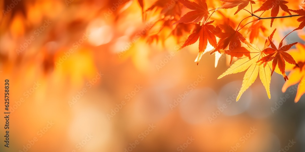 Beautiful maple leaves in autumn sunny day in foreground and blurry background in Kyushu, Japan. No people, close up, copy space, macro shot. AI generative
