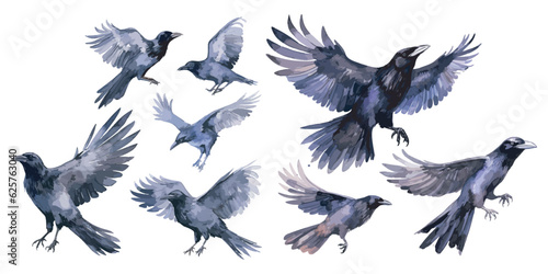 Watercolor flying Raven clipart for graphic resources
