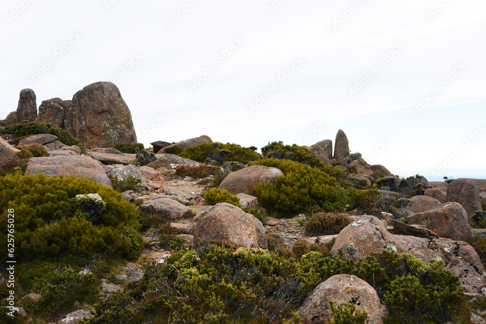 beautiful landscape vista of Mount Wellington tourist landmark in Hobart Tasmania in Australia,  with granite stones and scrubland nature