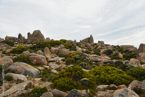 beautiful landscape vista of Mount Wellington tourist landmark in Hobart Tasmania in Australia, with granite stones and scrubland nature