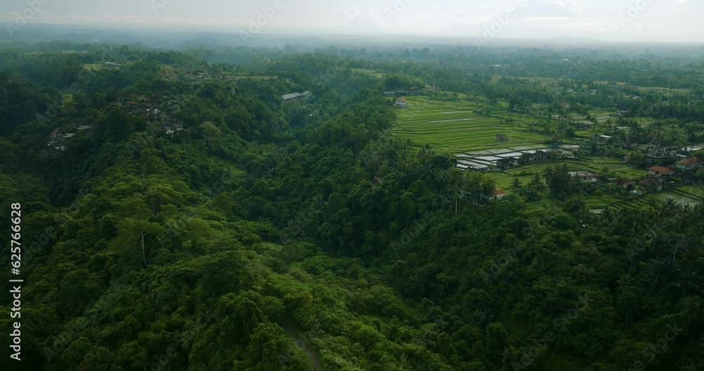 Drone view of Bali. Aerial view of artist trail in Ubud, Bali. Campuhan Ridge Walk Ubud Drone view of Bali. Aerial view of artist trail in Ubud, Bali. Campuhan Ridge Walk Ubud