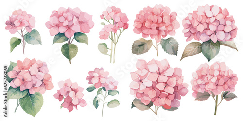 Watercolor pink hydrangea clipart for graphic resources