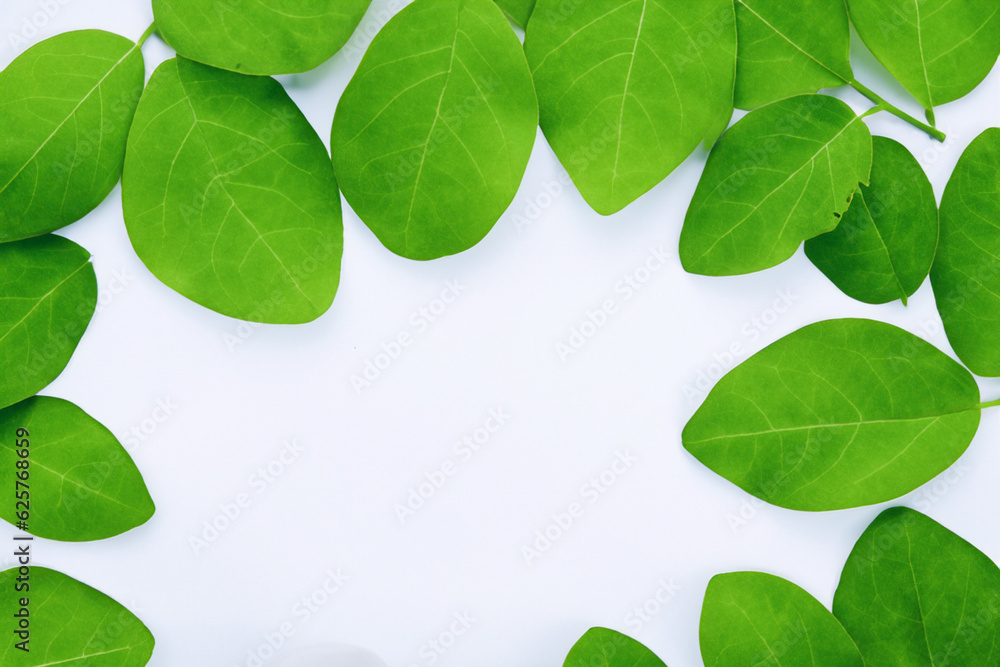 Beautiful Leaf Background with White Paper A Refreshing and Serene Combination