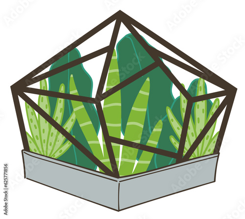 Succulents growing in glass terrarium ecosystem