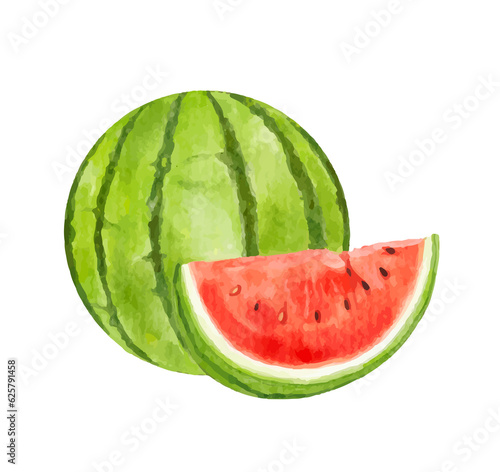 watermelon fruit watercolor