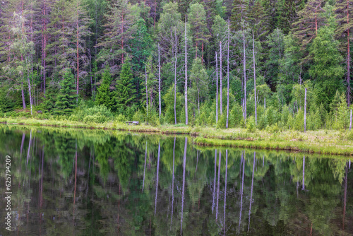 Fototapeta Naklejka Na Ścianę i Meble -  Lake by a coniferous forest with reflections in the water