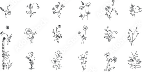 minimal line flower and botanical graphic sketch drawing  trendy tiny tattoo design  floral elements vector illustration