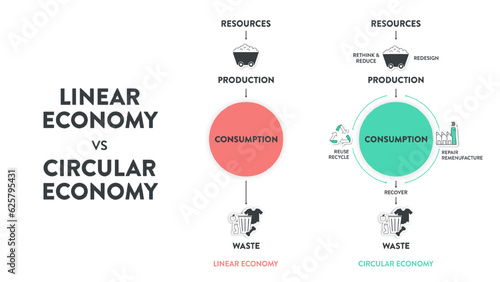 The vector infographic diagram of the difference between the circular economy and linear economy. Compare linear and circular infographics for presentations or banners for websites. Economy concepts.