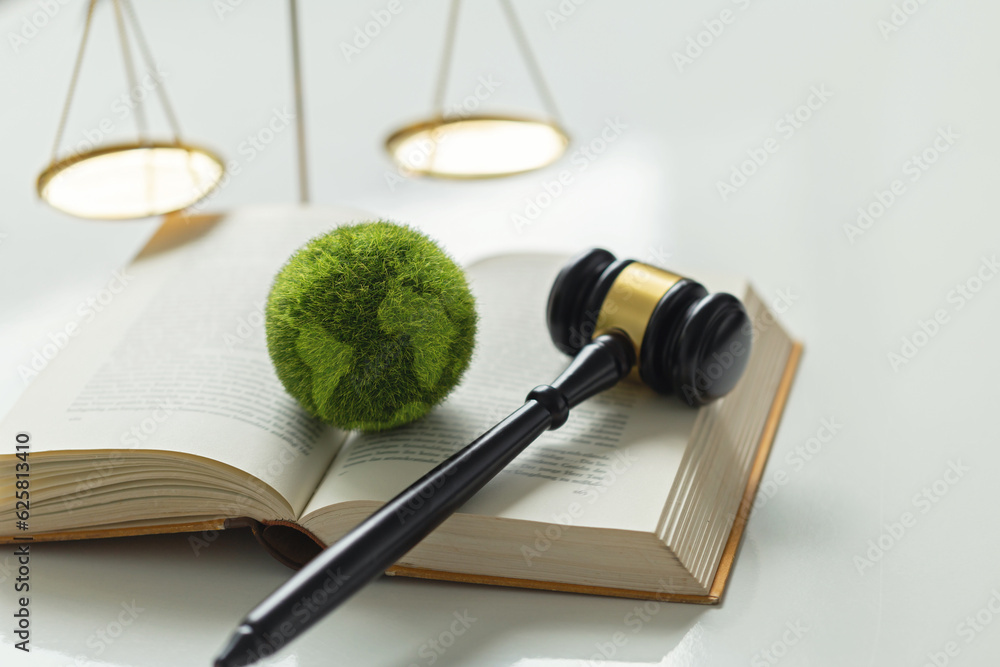 International Law And Environment Law Green World And Gavel On A Book international-law-and-environment-law-green-world-and-gavel-on-a-book
