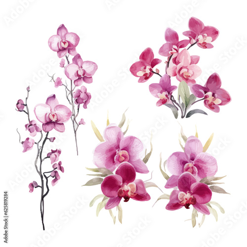 orchid flower set watercolor vector illustration.isolated white background. wedding invitation  print  sublimation  mug  tshirt  tumbler