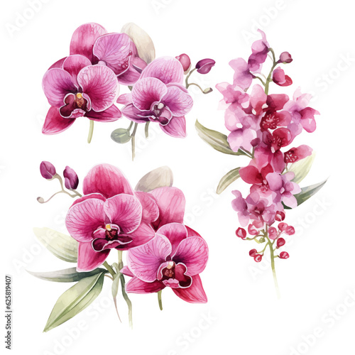 orchid flower set watercolor vector illustration.isolated white background. wedding invitation, print, sublimation, mug, tshirt, tumbler