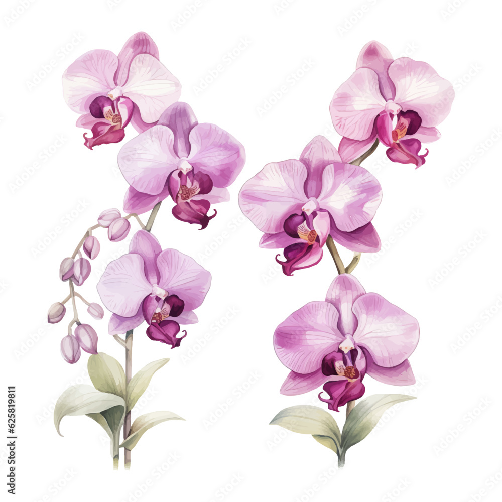 Obraz premium orchid flower set watercolor vector illustration.isolated white background. wedding invitation, print, sublimation, mug, tshirt, tumbler