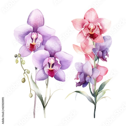 orchid flower set watercolor vector illustration.isolated white background. wedding invitation  print  sublimation  mug  tshirt  tumbler