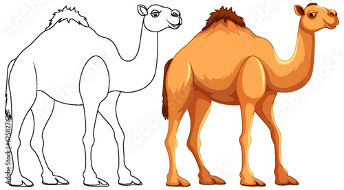 Camel Walking Outline