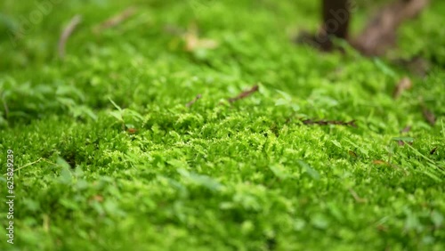 貴船神社　京都　寺