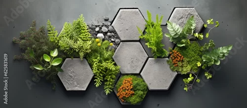 Obraz  z motywem Photo of hexagon planters with lush green plants growing out of them with copy space
