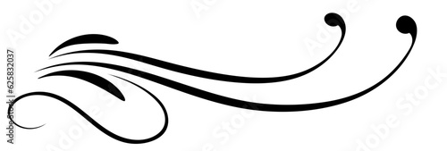 Floral ornament with leaves and abstract lines. Graceful element for decor and greeting or invitation card design