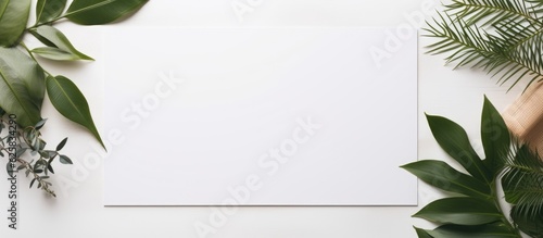 Photo of a blank sheet of paper next to a potted plant with copy space © HN Works