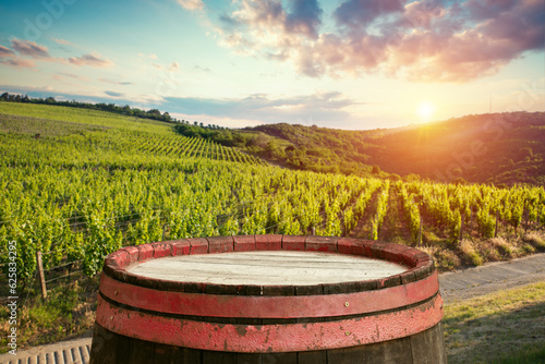 Beautiful vineyards at sunset in Tuscany  Italy. High quality photo