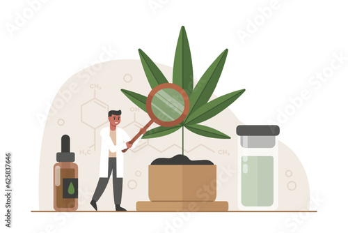 Doc holding magnifying glass and examine quality of plant. Legalization of marijuana. Medical drug use. Allowed medicinal growth with drug addiction. Flat vector illustration in cartoon style