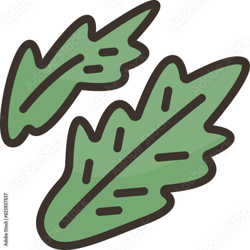 arugula  icon