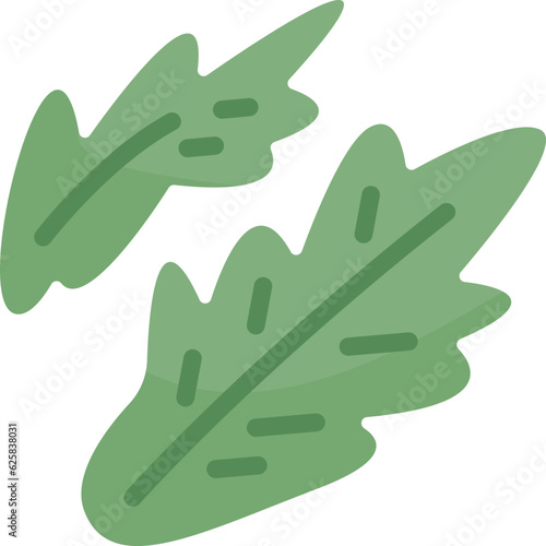 arugula  icon