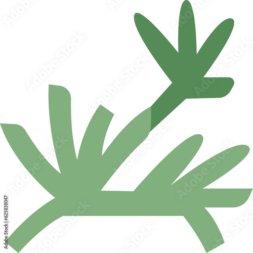 dill  icon
