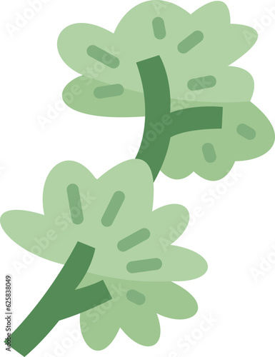 parsley  icon