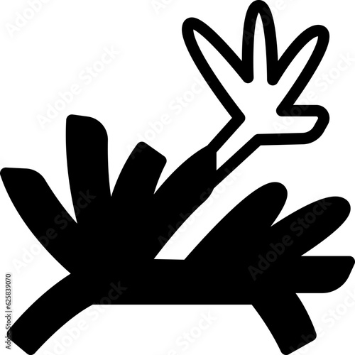 dill  icon