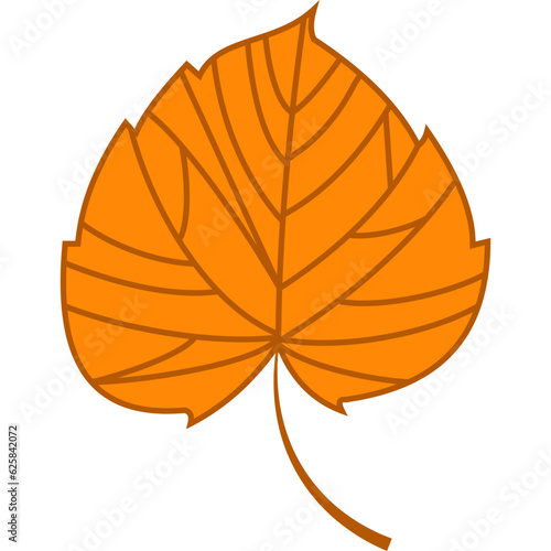 Autumn Leaf